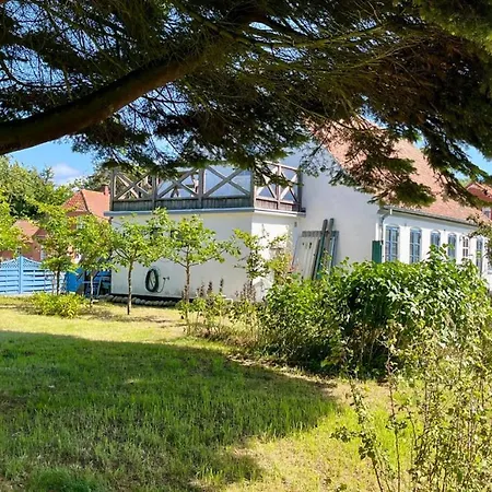 홈스테이 Under The Tree