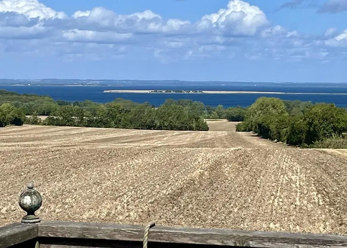 Under The Tree Ærøskøbing